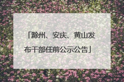 滁州、安庆、黄山发布干部任前公示公告