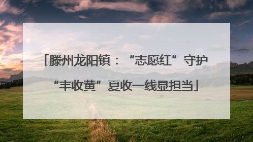 滕州龙阳镇：“志愿红”守护“丰收黄”夏收一线显担当