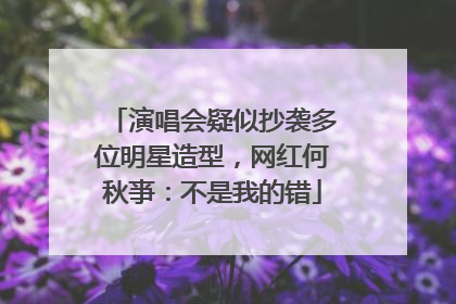 演唱会疑似抄袭多位明星造型，网红何秋亊：不是我的错