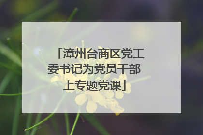 漳州台商区党工委书记为党员干部上专题党课
