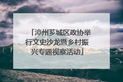 漳州芗城区政协举行文史沙龙暨乡村振兴专题视察活动