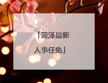 菏泽最新人事任免