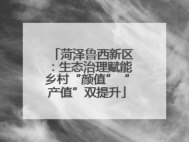 菏泽鲁西新区：生态治理赋能乡村“颜值”“产值”双提升