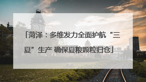 菏泽：多维发力全面护航“三夏”生产 确保夏粮颗粒归仓