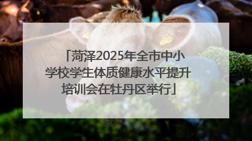 菏泽2025年全市中小学校学生体质健康水平提升培训会在牡丹区举行