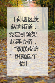 荷塘区茨菇塘街道：党建引领架起连心桥，“双联夜访”织就端午情