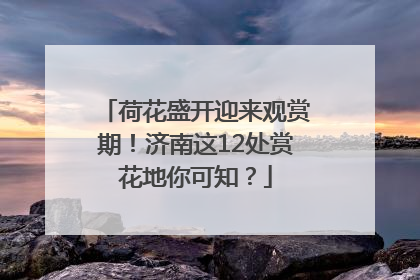 荷花盛开迎来观赏期！济南这12处赏花地你可知？