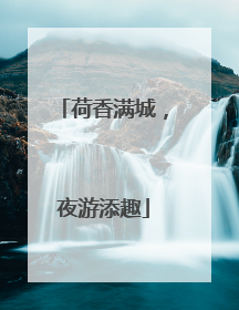 荷香满城，夜游添趣