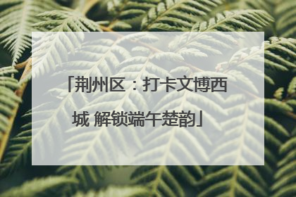 荆州区：打卡文博西城 解锁端午楚韵