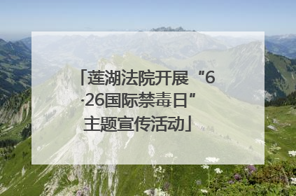 莲湖法院开展“6·26国际禁毒日”主题宣传活动
