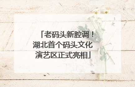 老码头新腔调！湖北首个码头文化演艺区正式亮相