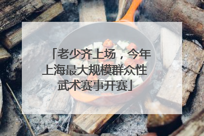 老少齐上场，今年上海最大规模群众性武术赛事开赛