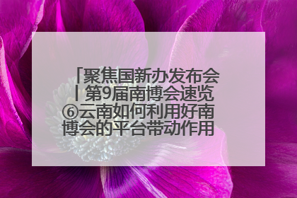 聚焦国新办发布会丨第9届南博会速览⑥云南如何利用好南博会的平台带动作用，深化与南亚国家的交流与合作？