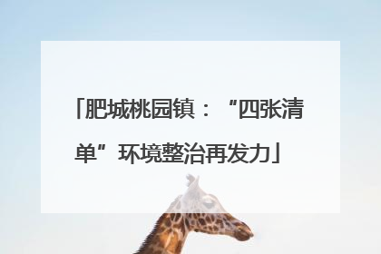 肥城桃园镇：“四张清单”环境整治再发力
