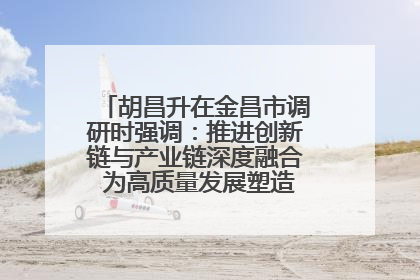胡昌升在金昌市调研时强调：推进创新链与产业链深度融合 为高质量发展塑造新动能新优势