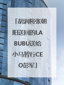 胡润将张朝阳送回的LABUBU送给小马智行CEO彭军