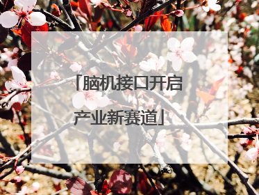 脑机接口开启产业新赛道