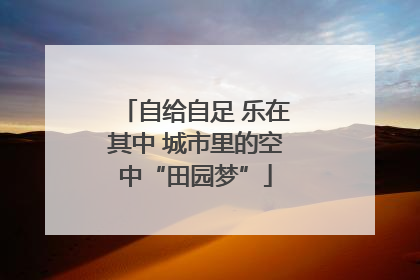 自给自足 乐在其中 城市里的空中“田园梦”