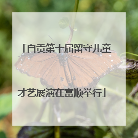 自贡第十届留守儿童才艺展演在富顺举行
