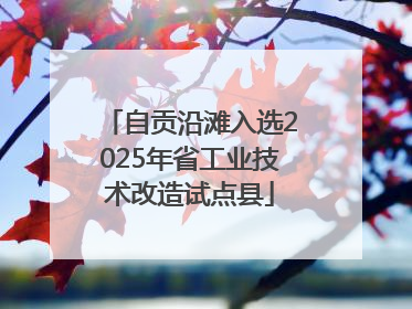 自贡沿滩入选2025年省工业技术改造试点县