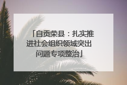 自贡荣县：扎实推进社会组织领域突出问题专项整治