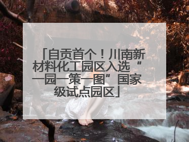 自贡首个！川南新材料化工园区入选“一园一策一图”国家级试点园区