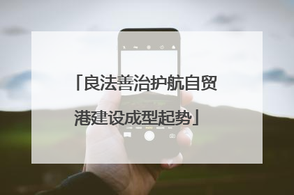 良法善治护航自贸港建设成型起势
