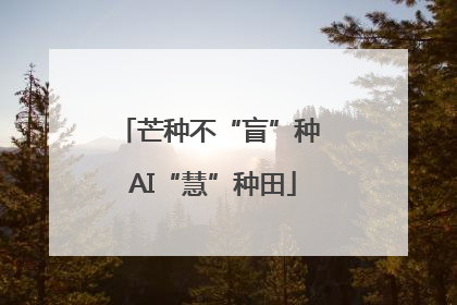芒种不“盲”种 AI“慧”种田