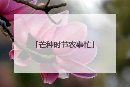 芒种时节农事忙