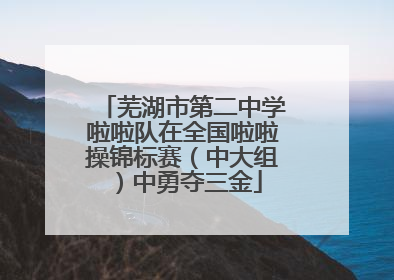 芜湖市第二中学啦啦队在全国啦啦操锦标赛（中大组）中勇夺三金