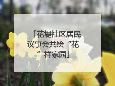 花堤社区居民议事会共绘“花”样家园