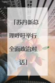 苏丹新总理呼吁举行全面政治对话