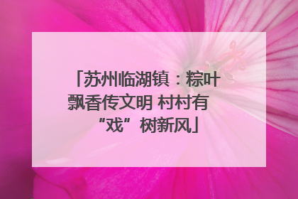 苏州临湖镇：粽叶飘香传文明 村村有“戏”树新风