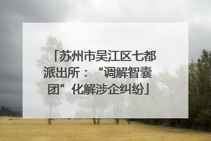 苏州市吴江区七都派出所：“调解智囊团”化解涉企纠纷