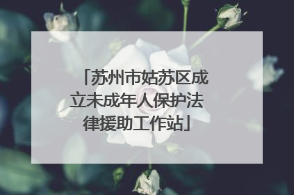 苏州市姑苏区成立未成年人保护法律援助工作站