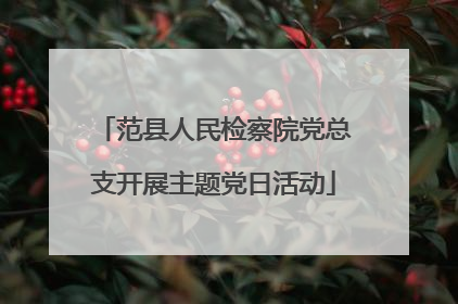 范县人民检察院党总支开展主题党日活动