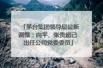 茅台集团领导层最新调整：向平、张贵超已出任公司党委委员