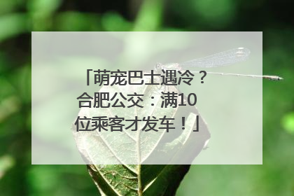 萌宠巴士遇冷？合肥公交：满10位乘客才发车！