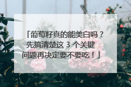 葡萄籽真的能美白吗？先搞清楚这 3 个关键问题再决定要不要吃！