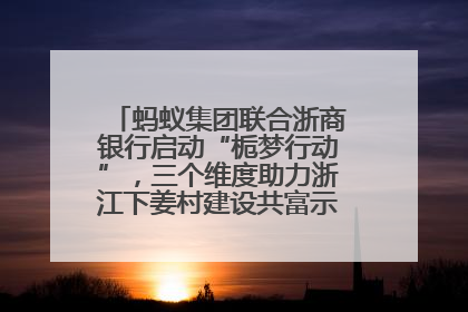 蚂蚁集团联合浙商银行启动“栀梦行动”，三个维度助力浙江下姜村建设共富示范区示范点