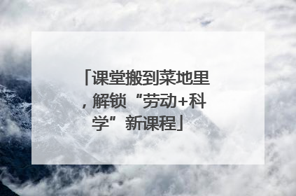课堂搬到菜地里，解锁“劳动+科学”新课程