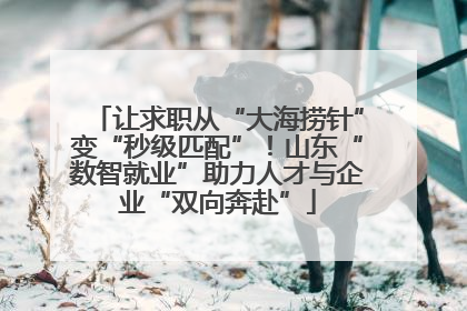 让求职从“大海捞针”变“秒级匹配”！山东“数智就业”助力人才与企业“双向奔赴”