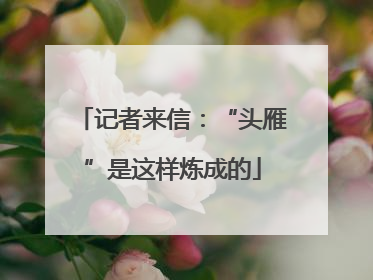 记者来信：“头雁”是这样炼成的