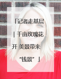 记者走基层｜千亩玫瑰花开 美景带来“钱景”