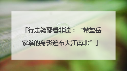 行走赣鄱看非遗：“希望岳家拳的身影遍布大江南北”
