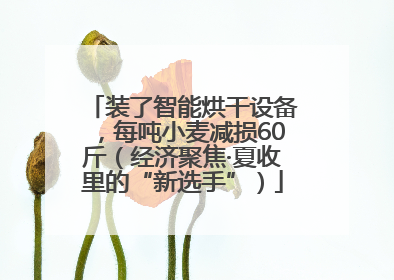 装了智能烘干设备，每吨小麦减损60斤（经济聚焦·夏收里的“新选手”）
