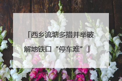 西乡流塘多措并举破解地铁口“停车难”