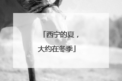 西宁的夏，大约在冬季