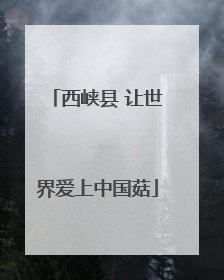 西峡县 让世界爱上中国菇