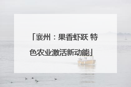 襄州：果香虾跃 特色农业激活新动能